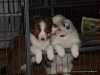 comp_dsc02272