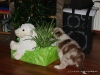 comp_dsc02277