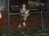 comp_dsc02278
