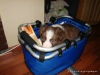 comp_dsc02287
