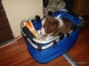 comp_dsc02288