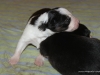 cimg_8420