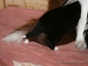 cIMG_1123