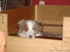 comp_dsc00937