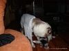 comp_dsc02401