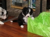 comp_dsc02403
