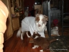 comp_dsc02405
