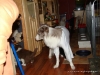 comp_dsc02406