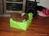 comp_dsc02408