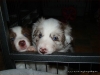 comp_dsc02424