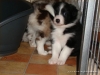 comp_dsc02428
