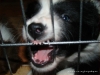 comp_dsc02430