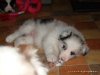 comp_dsc02434