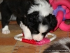 comp_dsc02436
