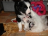 comp_dsc02438
