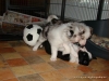 comp_dsc02445
