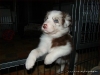 comp_dsc02454