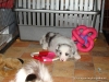 comp_dsc02461