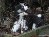 cimg_1173