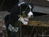 cimg_1178