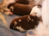 cimg_6650
