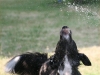cimg_4662