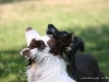 cimg_4674