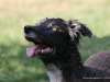 cimg_4675