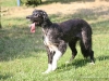 cimg_4705