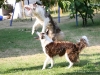 cimg_4748