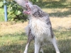 cimg_4831