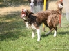 cimg_4850