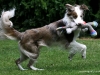 cimg_0065