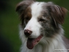 cimg_0094