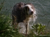 cimg_0283