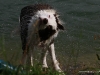 cimg_0284
