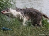 cimg_0343
