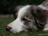 cimg_8510