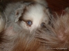 comp_dsc02472
