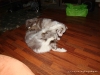 comp_dsc02473