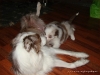 comp_dsc02474