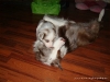 comp_dsc02486