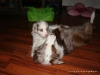 comp_dsc02487