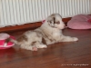 comp_dsc02490