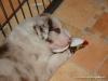 comp_dsc02491