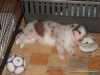 comp_dsc02500