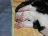 cimg_8589