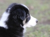 cimg_2232