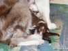 cimg_6785