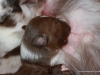 cimg_6803